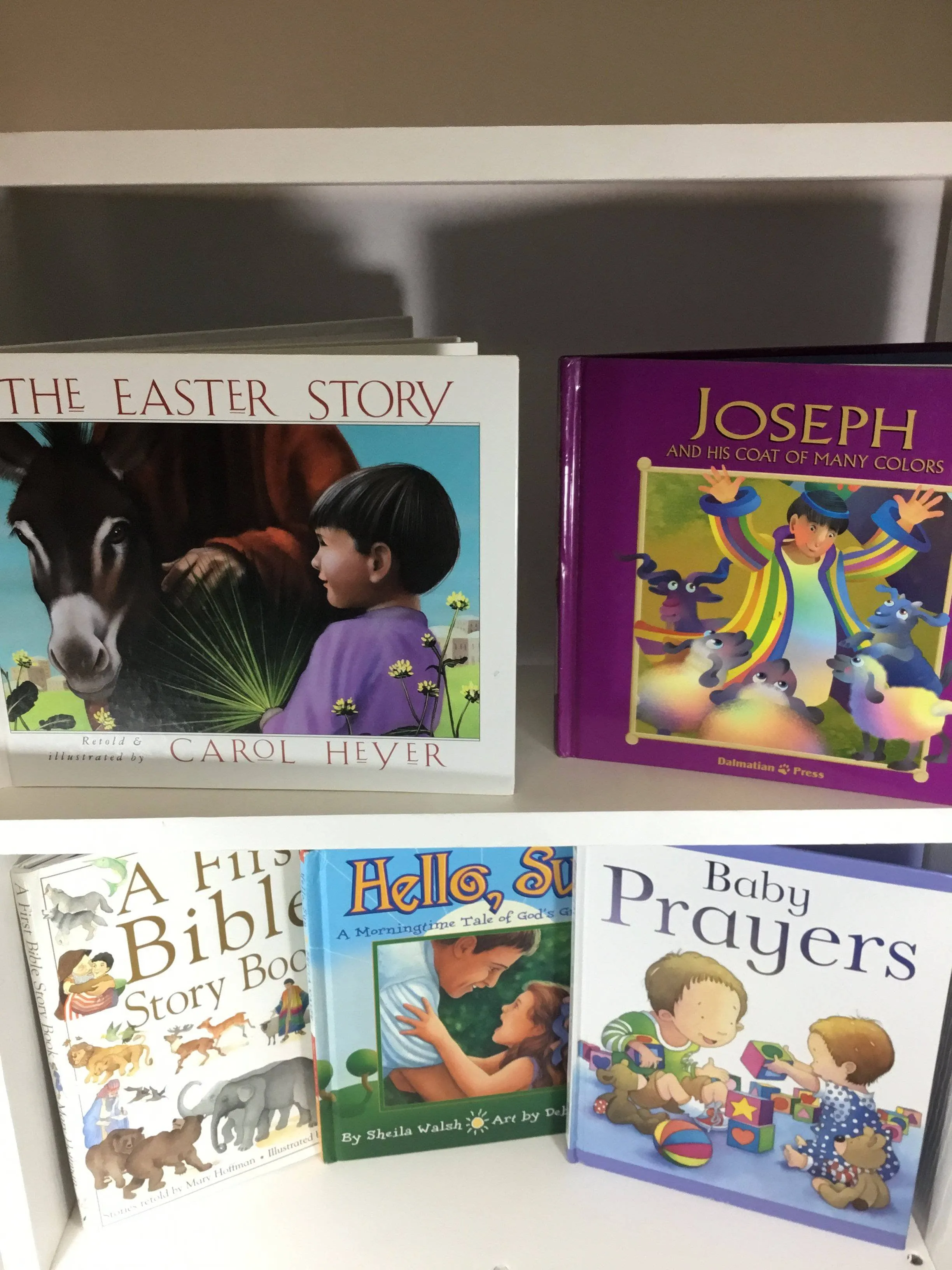 Christian Kids Books - Mixed Box (grades K-3)