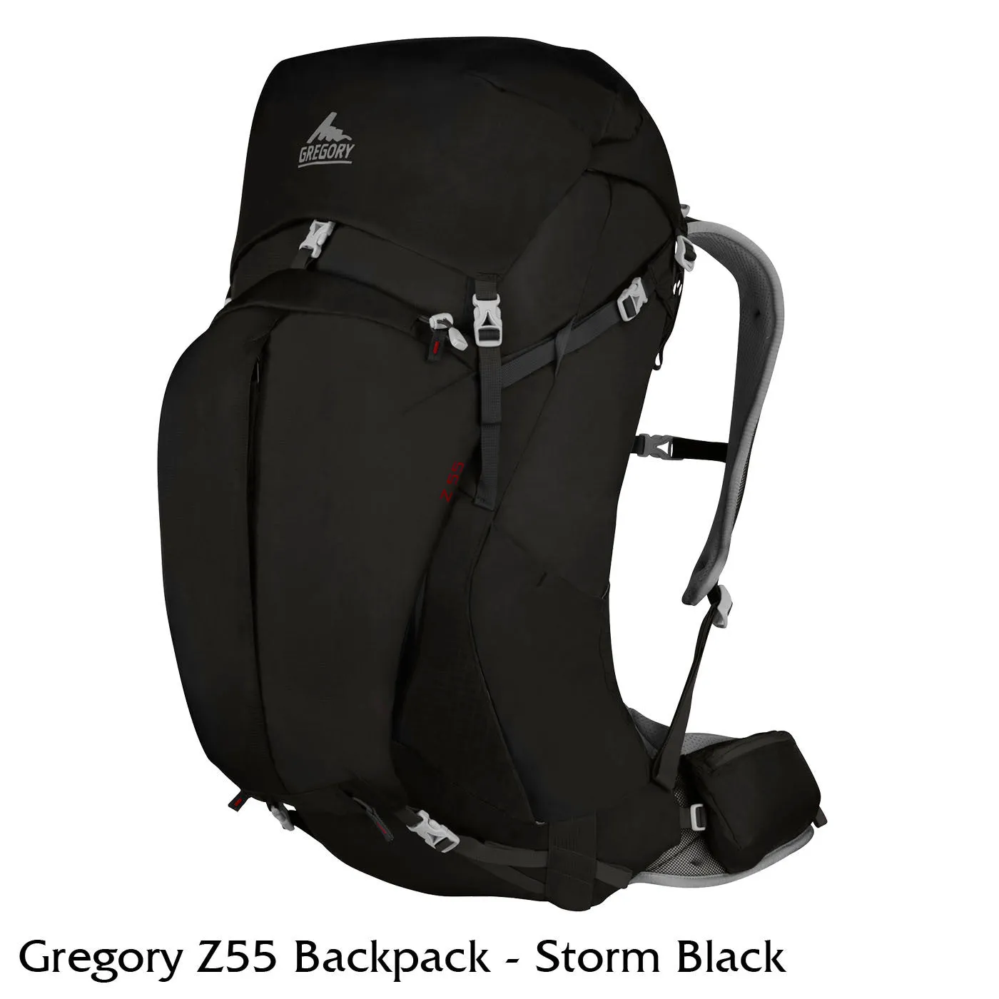 Gregory Z55 Pack