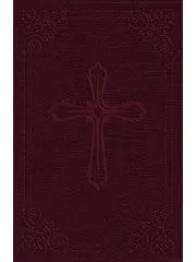 NIV Compact Bible, Burgundy (Imitation Leather)